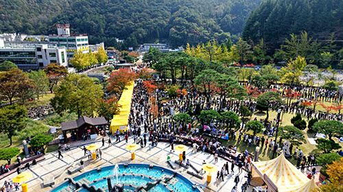 2025 김천김밥축제. 사진=경북도 제공