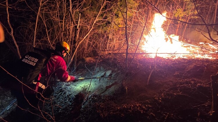 1월 21일 산불특수진화대가 이날 발생한 전남 광양 산불 야간 진화에 나서고 있다. 사진=산림청 제공
