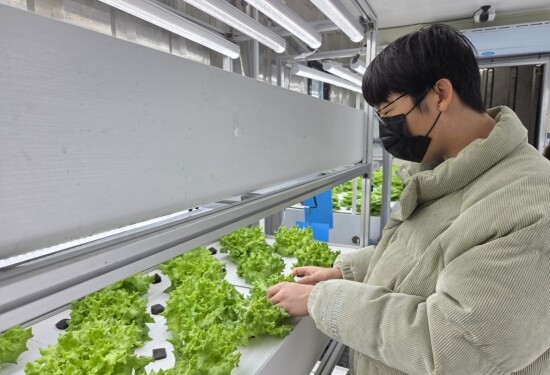 장애학생 직업교육 모습. 사진=부산교육청 제공