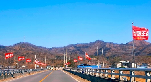 2026년 1월 27일 찾은 경북 안동시 모습. 사방을 둘러싼 산이 황색 빛을 띠고 있다. 2025년 발생한 산불 영향으로 나무가 타 죽거나 벌목이 이뤄진 탓이다. 사진=주현웅 기자