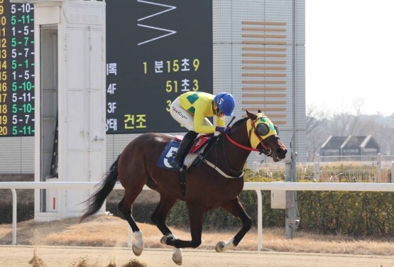 진겸 기수 우승 장면. 사진=렛츠런파크 부산경남 제공