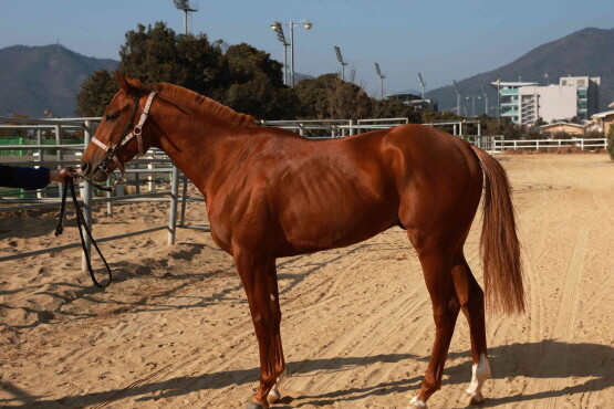 헤이브라더. 사진=렛츠런파크 부산경남 제공