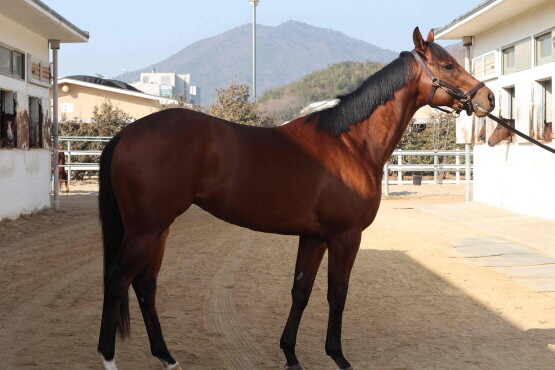 클러치위너. 사진=렛츠런파크 부산경남 제공