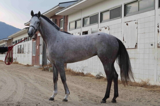 클리어리위너. 사진=렛츠런파크 부산경남 제공