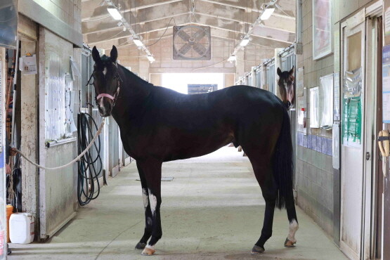 청춘은자유. 사진=렛츠런파크 부산경남 제공