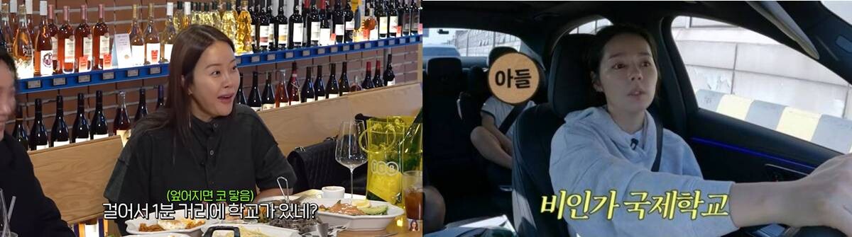 가수 백지영·배우 한가인 등 유명 연예인들이 자녀를 강남권의 미인가 국제학교에 보내고 있다는 사실이 알려지며 주목을 받고 있다. 사진=유튜브 갈무리