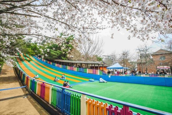 슬레드힐. 사진=렛츠런파크 부산경남 제공