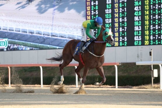 위너클리어 25년 11월 30일 KRA스프린트@영남 우승 모습. 사진=렛츠런파크 부산경남 제공