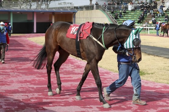 영광의월드 25년 4월 13일 SBS 스포츠스프린트 예시장. 사진=렛츠런파크 부산경남 제공