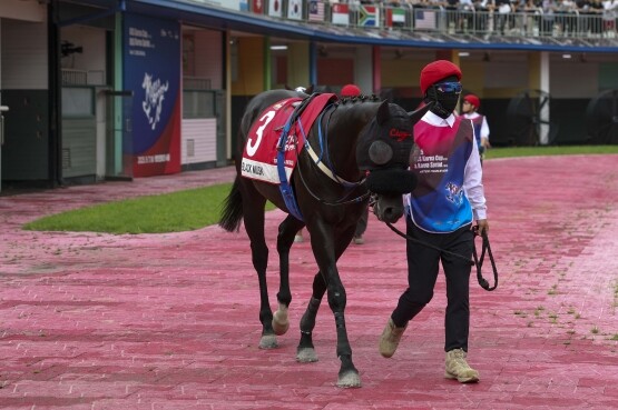 블랙머스크 25년 9월 7일 코리아스프린트 예시장. 사진=렛츠런파크 부산경남 제공