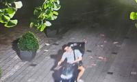 강남 일대서 ‘불법 성인 전단지’ 살포 총책 구속…일당 8명 검거