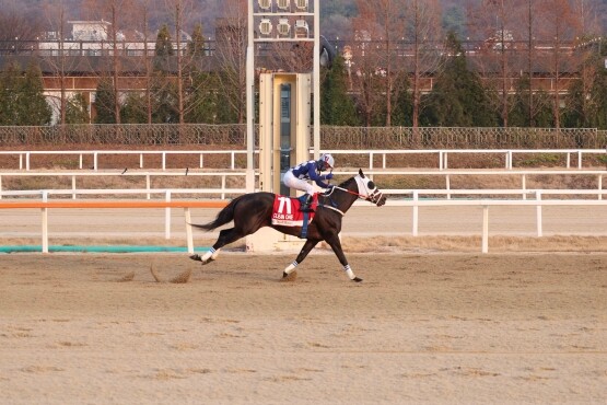 클린원 25년 그랑프리 우승 장면. 사진=렛츠런파크 부산경남 제공
