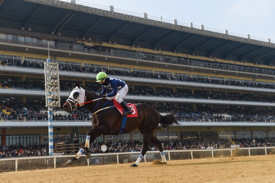 우승 당시 장면. 사진=렛츠런파크 부산경남 제공