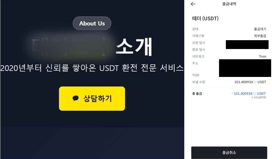 대면 거래를 통해 테더 환전을 해준다고 소개한 업체 홈페이지 화면(왼쪽)과 텔레그램 테더 환전 업자가 기자에게 보낸 고객 송금 내역 후기. 사진=한승구 기자