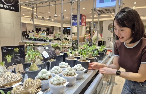 ‘괴근식물’ 팝업스토어 이미지. 사진=롯데백화점 제공