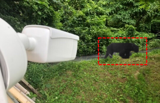 AI 곰 감지 경보 시스템 ‘페이스베어(FaceBear)’. 사진=페이스베어 홈페이지