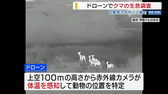 드론으로 곰의 위치와 행동을 파악하는 사례도 늘고 있다. 사진=닛테레뉴스 캡처