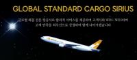 [단독] 시리우스항공 M&A 추진…사실상 항공면허만 남았는데, 잘 될까