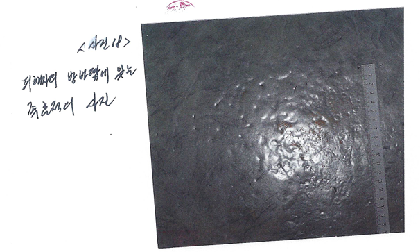 1998년 1월 3일 장미비디오 사건 현장에서 촬영된 족흔. 당시 실황조사서엔 방바닥에서 ‘피의자의 것으로 보이는 족흔적 5점’이 발견됐다고 기록돼 있다. 사진=경찰 수사기록