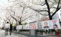 ‘벚꽃엔딩’ 서울시장은 누구?