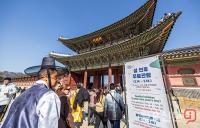 설 연휴 경복궁 무료 관람