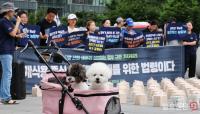 개식용종식법 유예기간을 악용한 불법도살 방치